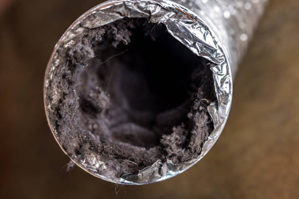 Best Commercial HVAC Duct Cleaning  in Micco, FL